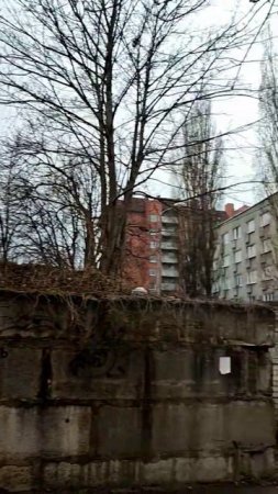 #travel #калининградскоечтиво #московскиеистории #нарайоне #артистымосквы