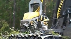 расчистка трасс ВЛ спецтехникой