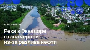 Река в Эквадоре стала черной из-за разлива нефти