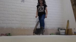 Как сесть на шпагат?