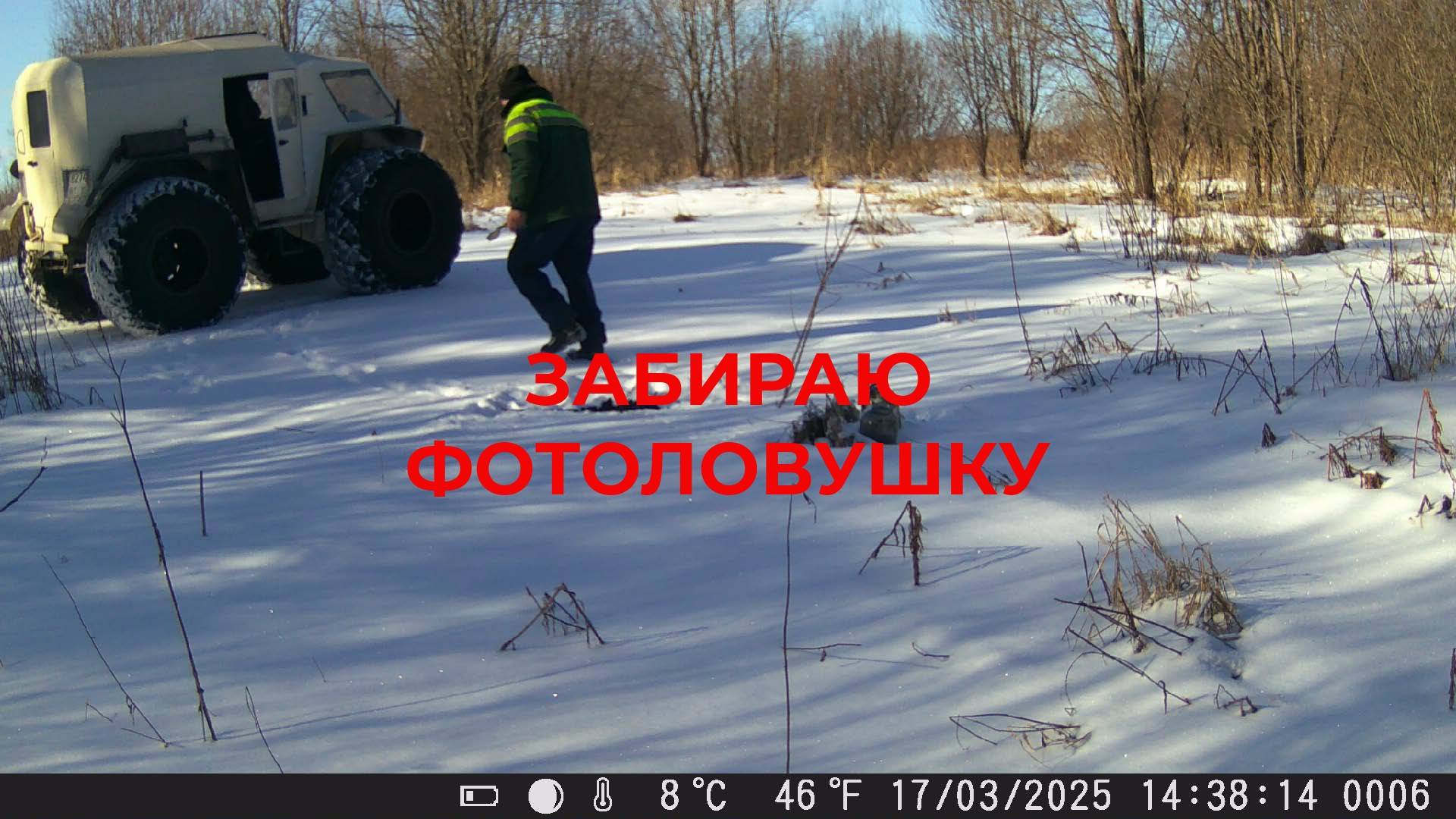 Ездил На Белом Лисе Забирать Фотоловушку