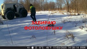 Ездил На Белом Лисе Забирать Фотоловушку