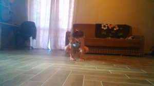 Гимнастика