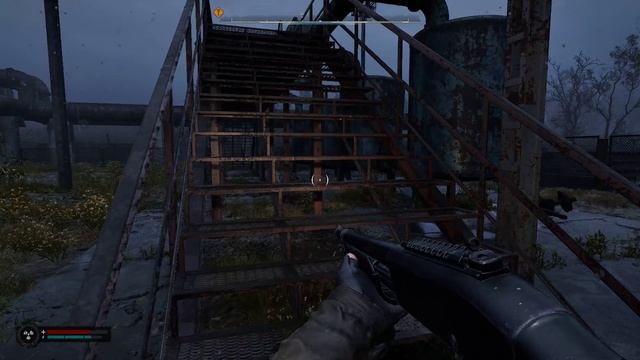 S.T.A.L.K.E.R. 2  Heart of Chornobyl  - Маковое поле.