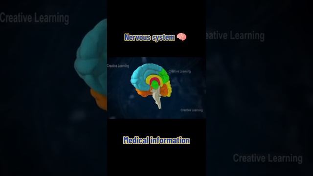 #generalscience #human nervous system #PNS #CNS