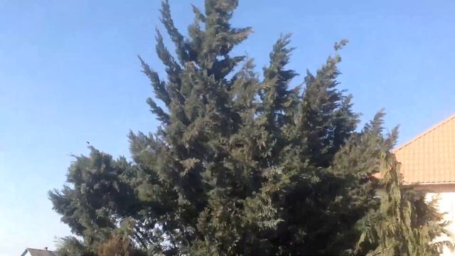 одесса. Сильнейший ураган. 25.02.2020 смотреть онлайн