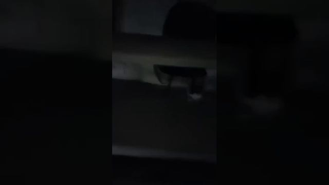 Что-то призрачное поселилось у него в подвале.