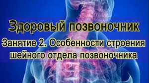 Занятие 2. Особенности строения шейного отдела позвоночного столба