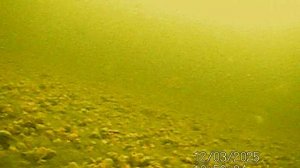 SUNP0155
