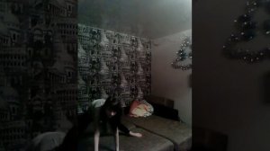 Гимнастика: вызов принят))