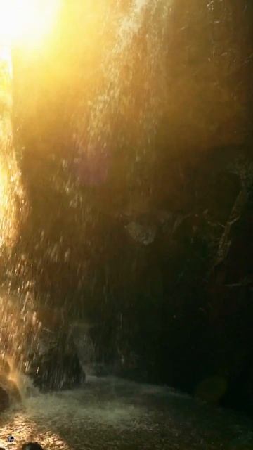 Oração - Vida eterna - Vera nossa Volpi - 14/08/2023 #shortsvideo смотреть онлайн