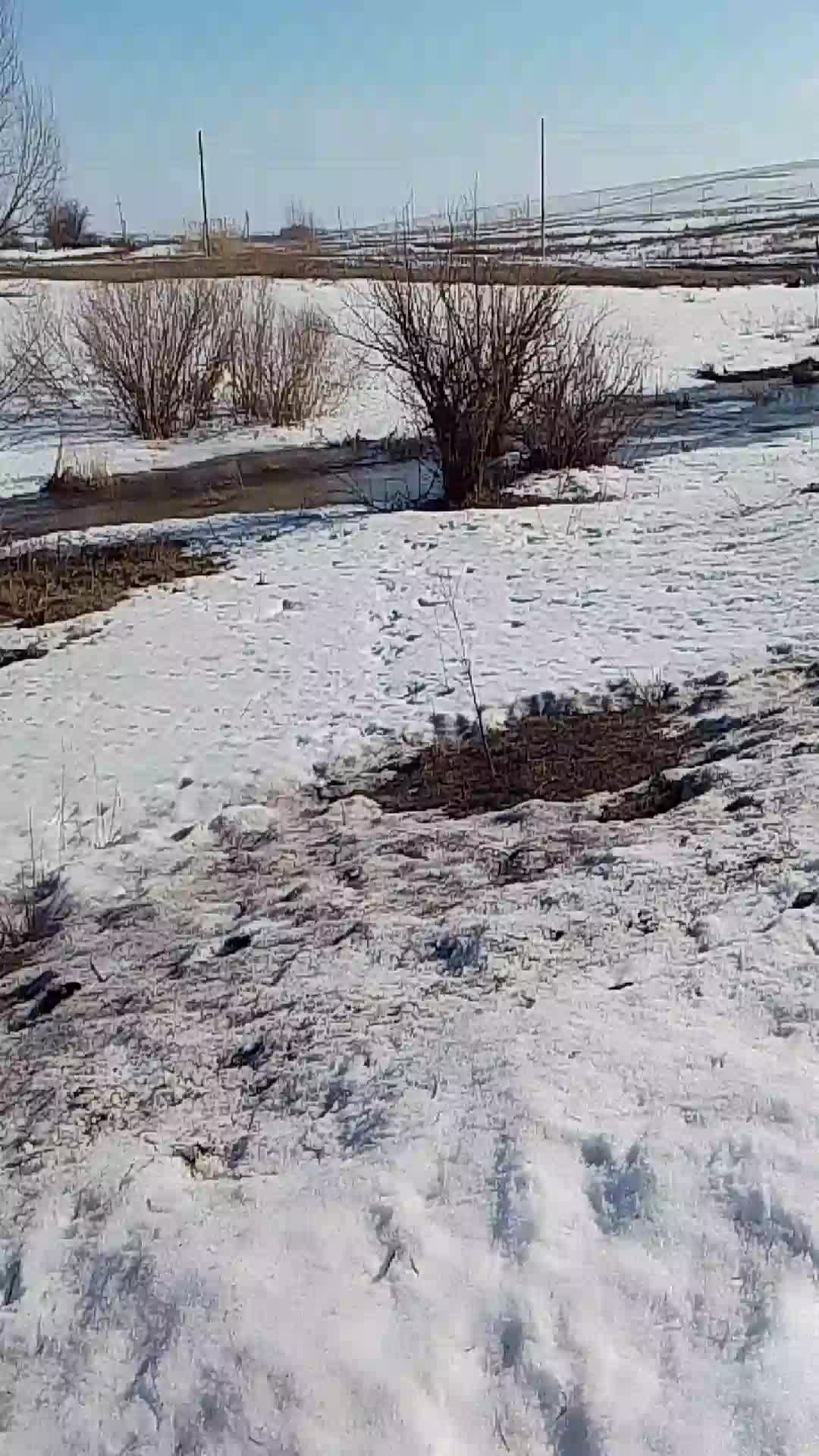 2 день половодье у нас
