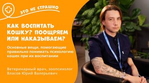 Это не страшно. Как воспитать кошку: поощряем или наказываем?