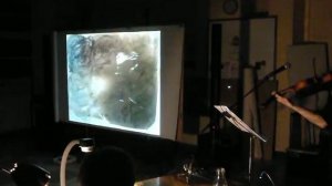 Lecture autour du Merveilleux voyage de Nils Holgersson à travers la Suède (2)