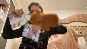 Вещи с капибарами