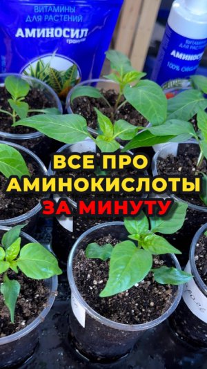 Нужны ли аминокислоты растениям?