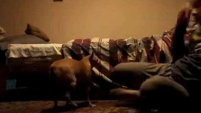 Супер шпагат смотреть онлайн