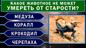 ВЫ ГЕНИЙ? У вас Невероятный Ум, если Сумеете Ответить Верно на 8 из 15 вопросов. Тест на Эрудицию
