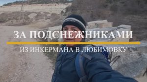 За подснежниками. Из Инкермана в Любимовку