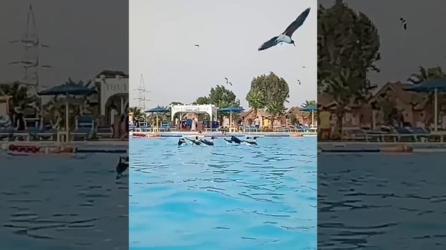 1000016141.mp4