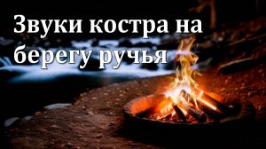Костер у Ручья | 3 Часа Расслабляющих Звуков Природы 🔥💧🔥