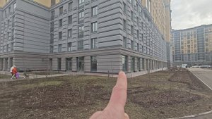 Цивилизация на Неве