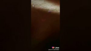 На бутылку села