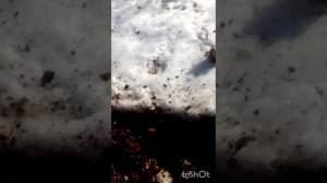 весенний коп металла 2025