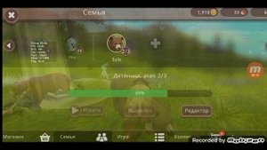 Прокачка медведя до 70 уровня в Wildcraft.