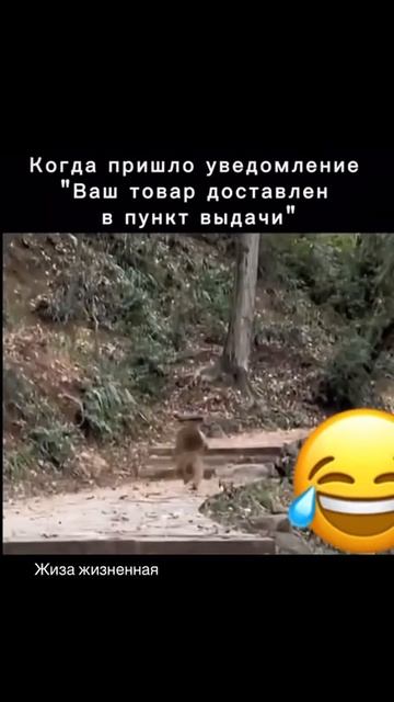 Ну вот так получается смотреть онлайн