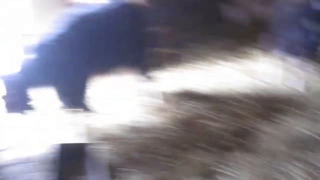 Весна и новый приплод. Семеро козлов. смотреть онлайн