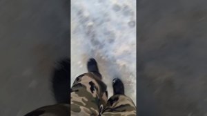 нашли радиацию в зоброшкее