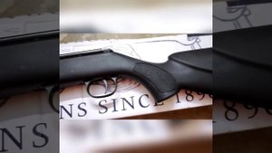 Diana 350 Magnum Panther First Look - Harjit Singh A. G. Shooter