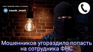 Мошенника угораздило попасть на сотрудника ФНС