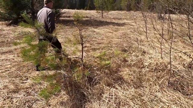 НЕ КОП, А МЕЧТА. ЧТО СКРЫВАЛА СТАРАЯ ФЕРМА?