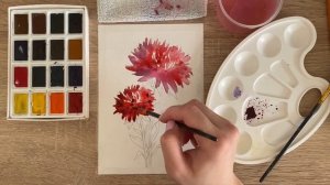 Как нарисовать астру карандашом и акварелью начинающим | Рисунок для детей