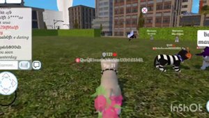 обнова в Cat & puppy world🐈