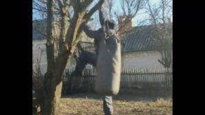 Лютый боец