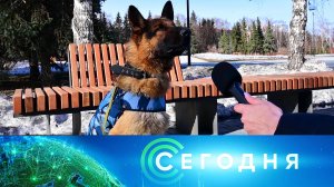 «Сегодня»: 20 марта 2025 года. 16:00 | Выпуск новостей | Новости НТВ
