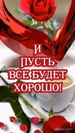 С ДНЕМ СЧАСТЬЯ. .Shorts.