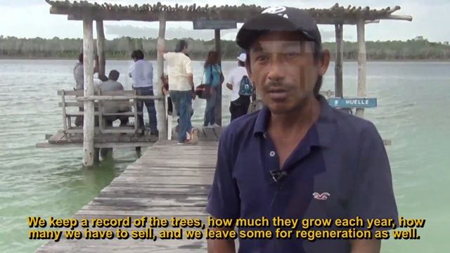 Strengthening communitarian territorial management through forest monitoring
