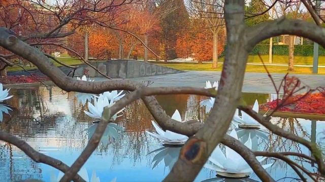 Краснодар Парк Галицкого Водоём у Французского сада смотреть онлайн