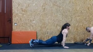 Переходы из собаки МВ в собаку Мвверх