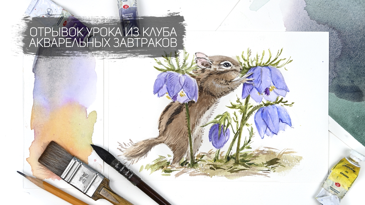 Фрагмент видеоурока из клуба Акварельных завтраков - рисуем бурундука с цветами. Набросок карандашом