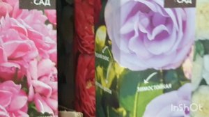 🌹Окунёмся в океан РОЗ! Приехала в Лемана Про, а та-а-ам...