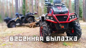 Весенняя вылазка