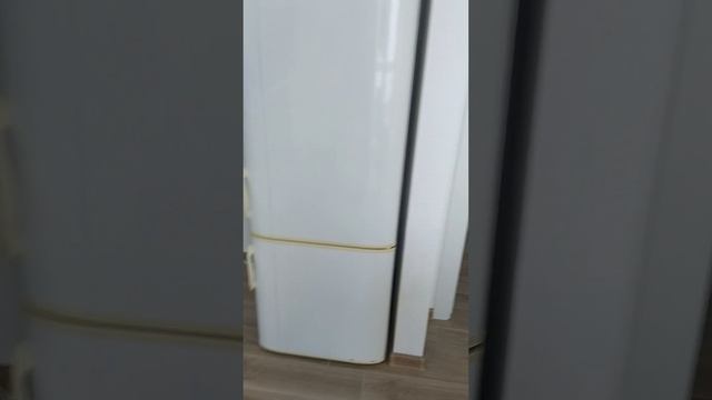 VID_20250227_154352(0).mp4