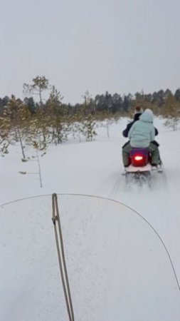 СНЕГОХОДЫ! КАЙФ!