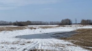 купаем подсадных уток