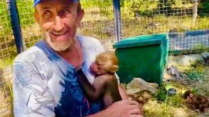 У Люськи наступила СИЕСТА, но Степашка вмешался и собрал всех ИДТИ ДОМОЙ